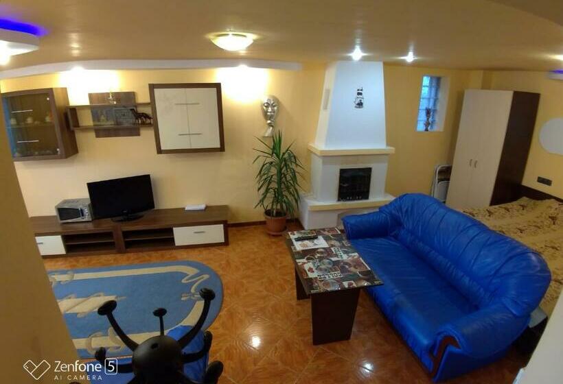 Пансион Sibiu 33