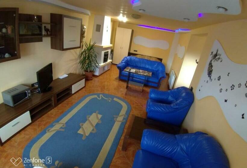 Пансион Sibiu 33