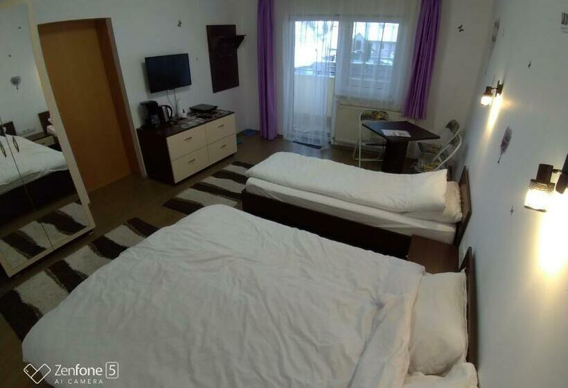 Пансион Sibiu 33