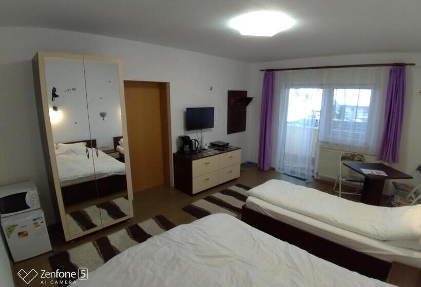 Пансион Sibiu 33