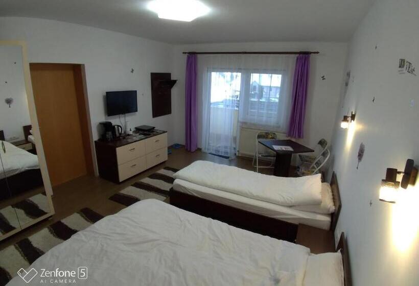 Пансион Sibiu 33