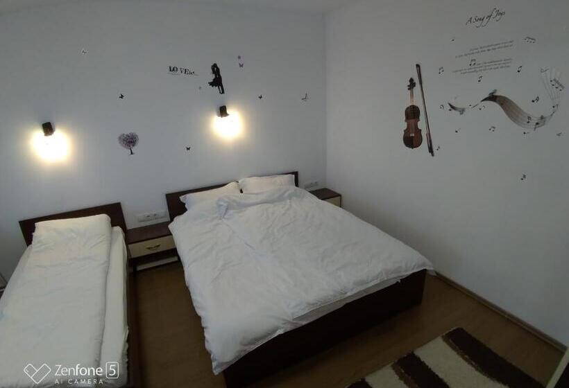 Пансион Sibiu 33