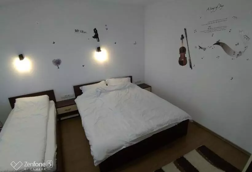 ペンション Sibiu 33