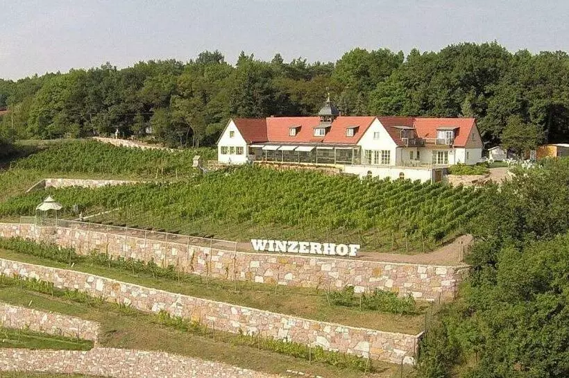 Pension Bella Vista   Winzerhof Golk