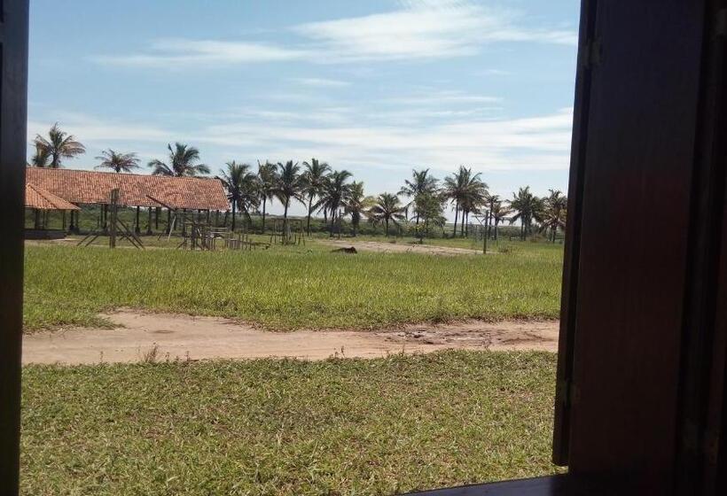 Bed & Breakfast Fazenda São Felipe