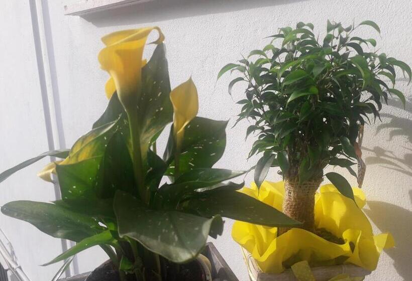 צימר Il Borgo Dei Molini