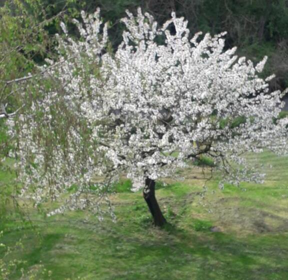 צימר Il Borgo Dei Molini