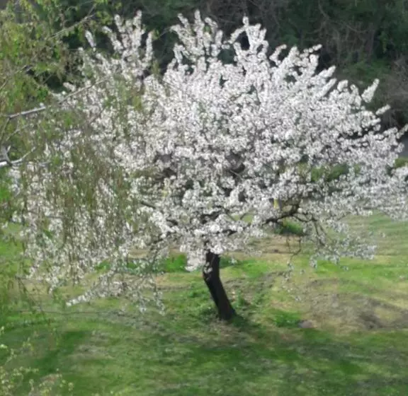 ベッドアンドブレックファースト Il Borgo Dei Molini