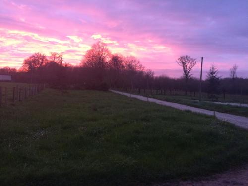 مبيت وإفطار Le Logis Du Plessis