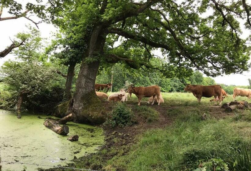 مبيت وإفطار Le Logis Du Plessis