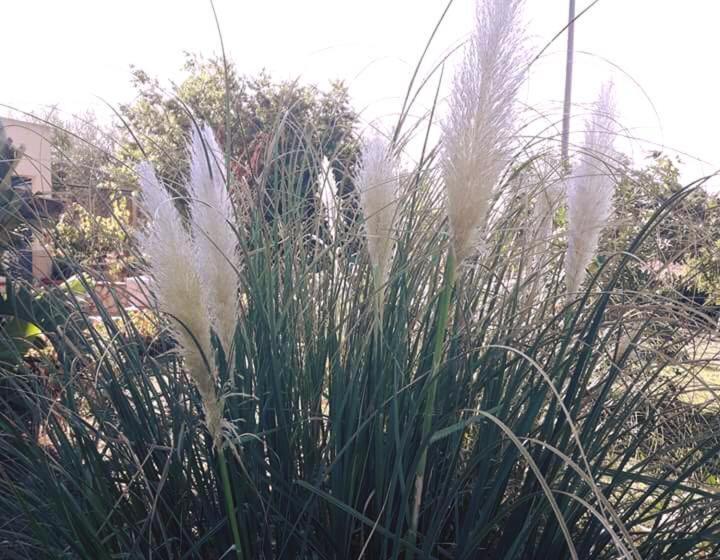 צימר Villa Milici