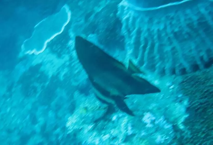 酒店 Adi Assri Beach Resort & Spa