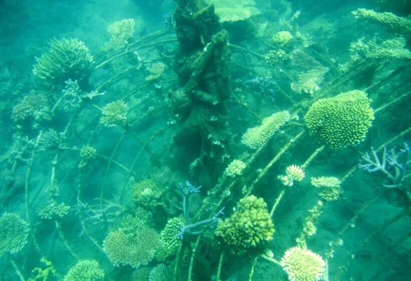 호텔 Adi Assri Beach Resort & Spa