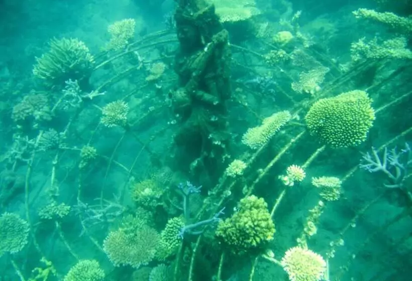 酒店 Adi Assri Beach Resort & Spa