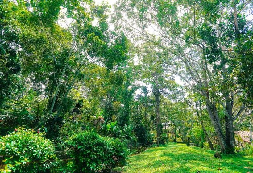 فندق Apa Villa Illuketia