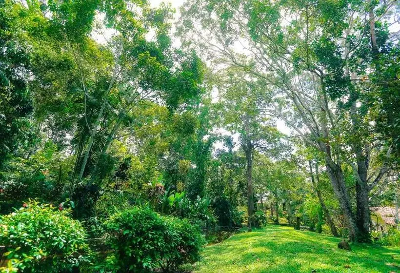 Hotel Apa Villa Illuketia