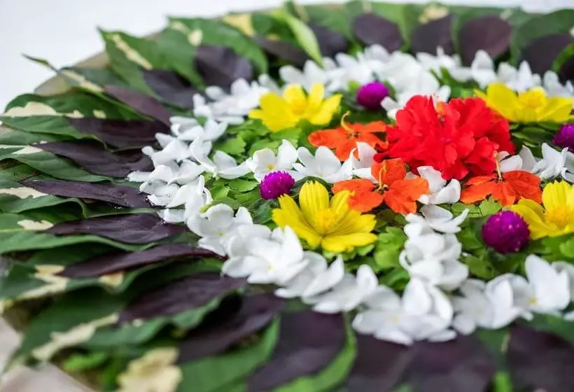 Hotel Apa Villa Illuketia