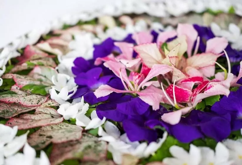 Hotel Apa Villa Illuketia