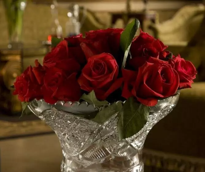 酒店 Boutique Mansion Del Rio