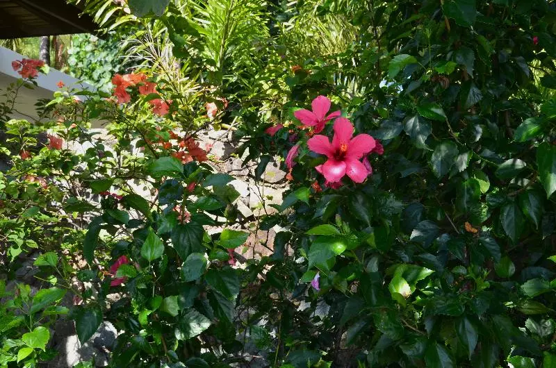 בית מלון כפרי Cocotinos Sekotong, A Boutique Beach Resort & Spa