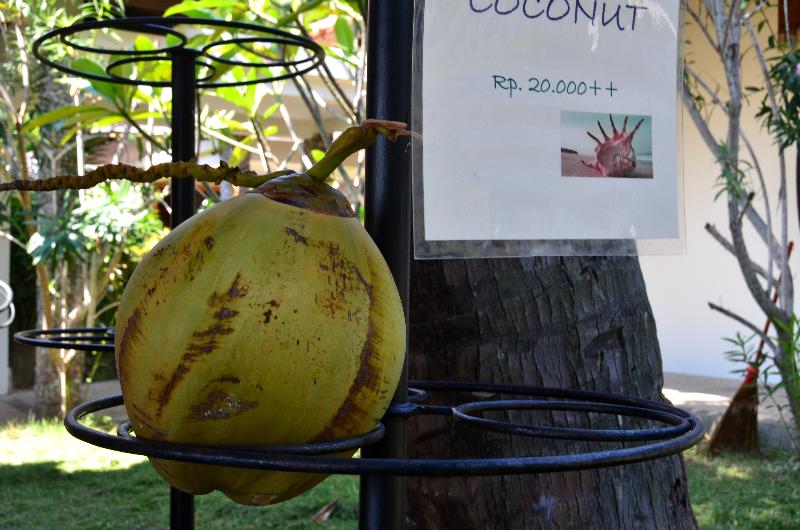 فندق Cocotinos Sekotong, A Boutique Beach Resort & Spa