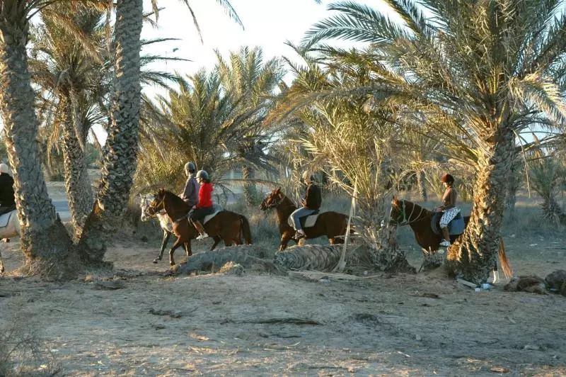 ホテル Djerba Castille  Family Only