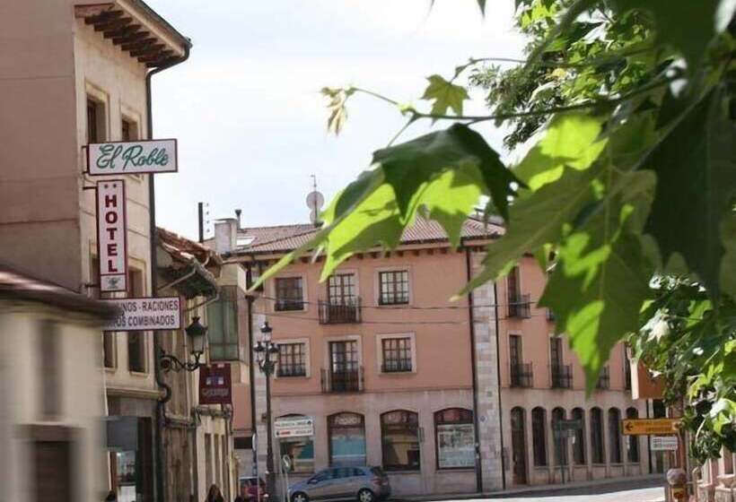 酒店 El Roble