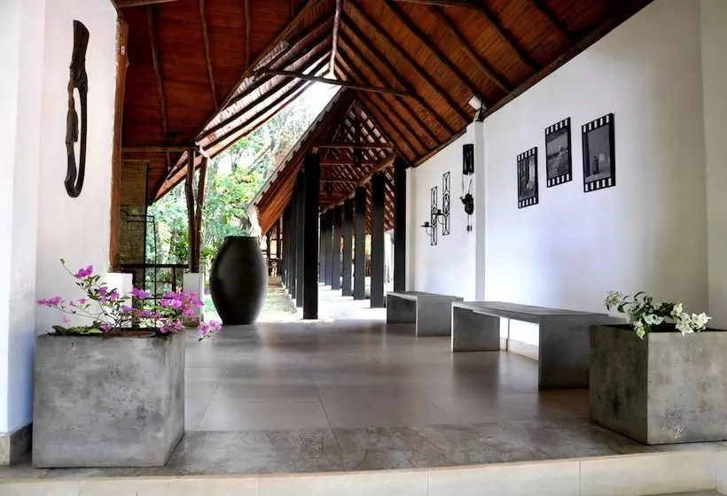 호텔 Ella Jungle Resort