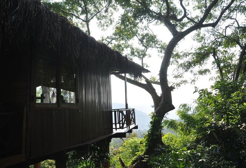 בית מלון כפרי Ella Jungle  Resort