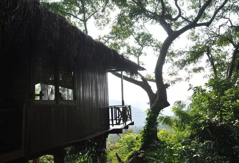 호텔 Ella Jungle Resort