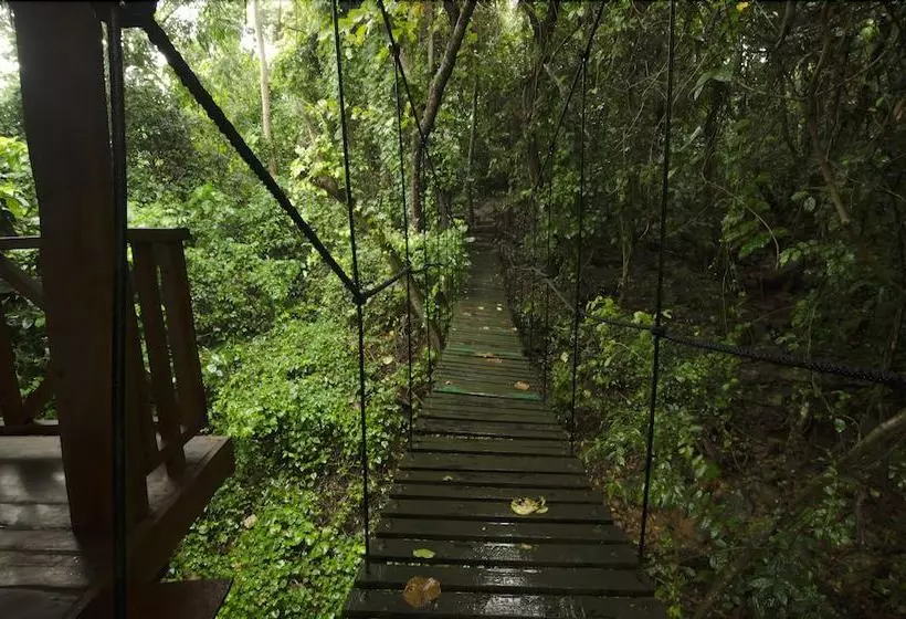 호텔 Ella Jungle Resort