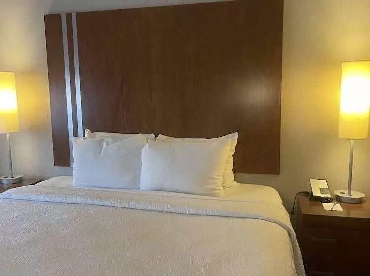 Hotel Fairfield Inn & Suites By Marriott New York Brooklyn