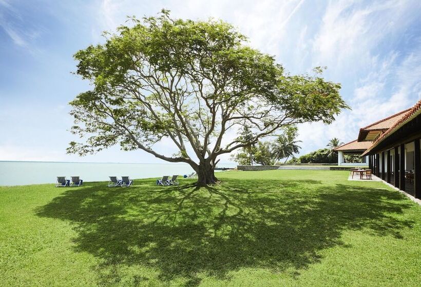 ホテル Jetwing Lagoon   Newly Renovated