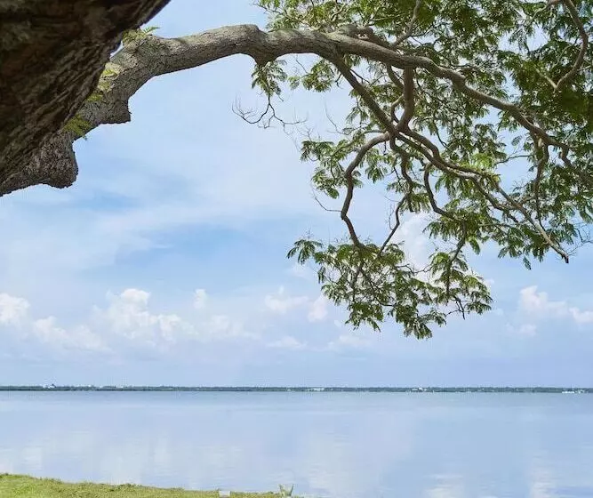 호텔 Jetwing Lagoon   Newly Renovated