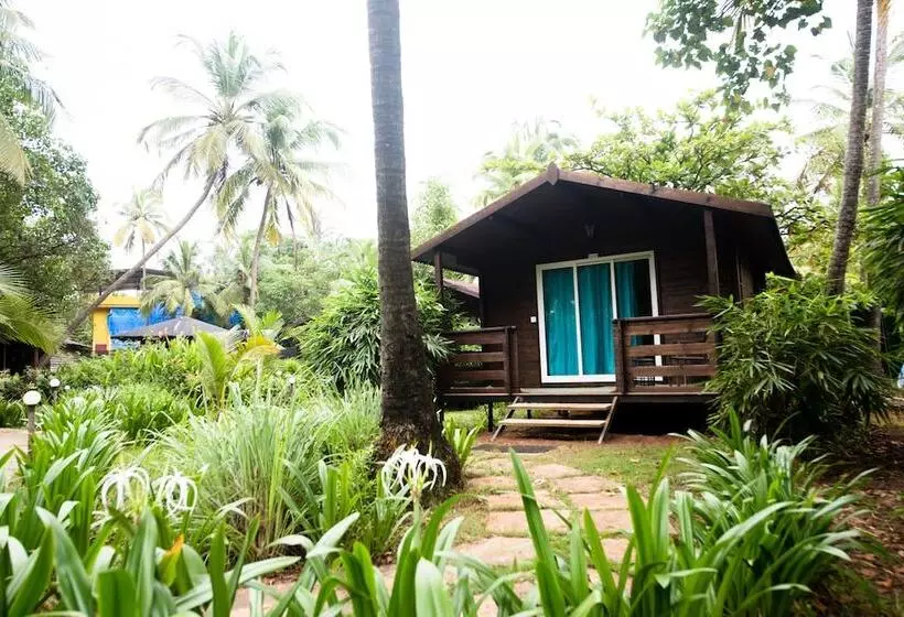 هتل Montego Bay Beach Village   Morjim
