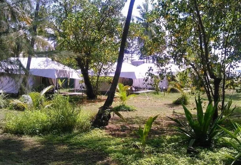 هتل Montego Bay Beach Village   Morjim
