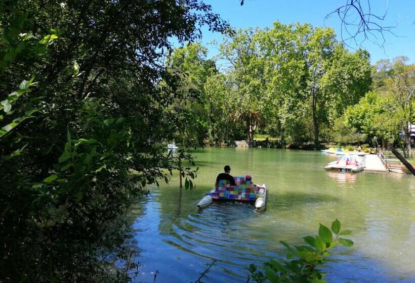 فندق Termas Da Curia