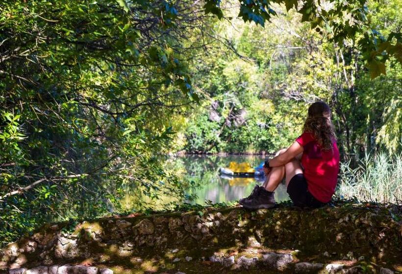 فندق Termas Da Curia