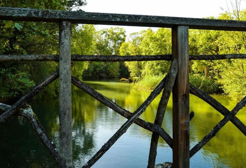فندق Termas Da Curia