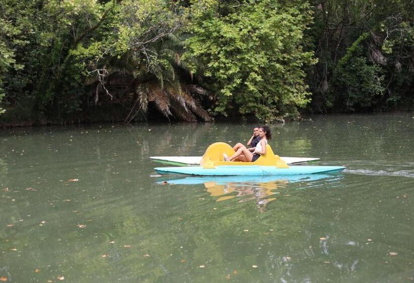 فندق Termas Da Curia
