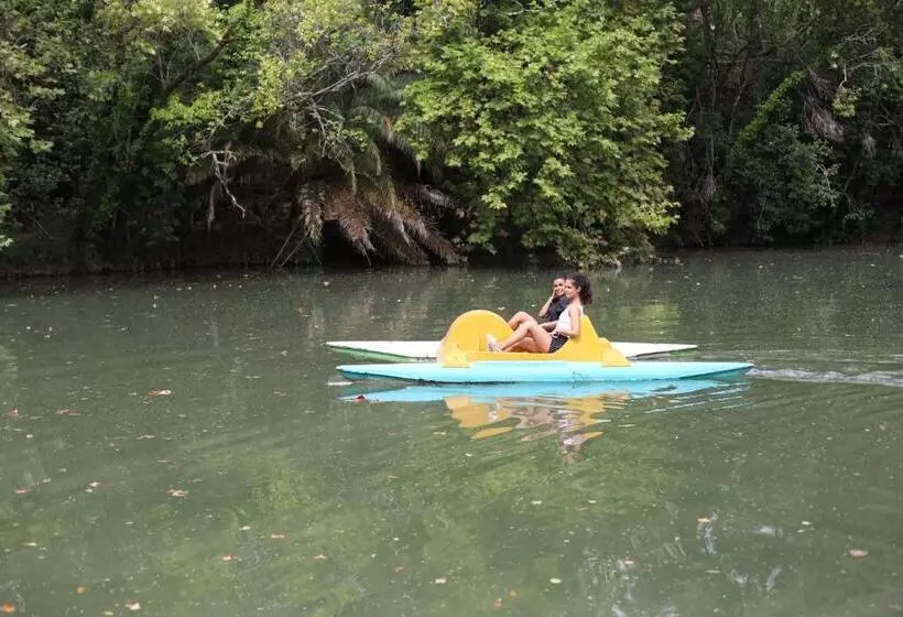 호텔 Termas Da Curia