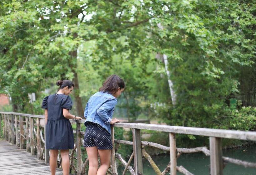 فندق Termas Da Curia