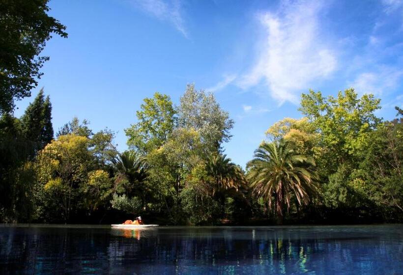 فندق Termas Da Curia