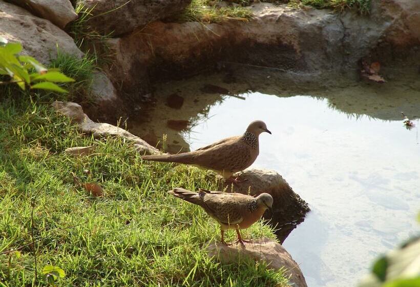 호텔 The Menjangan By Lifestyleretreats