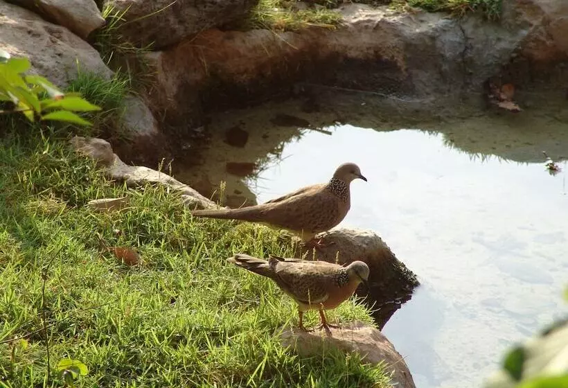 Hôtel The Menjangan By Lifestyleretreats