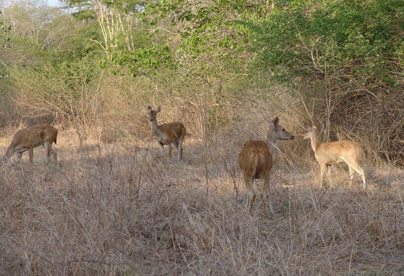 호텔 The Menjangan By Lifestyleretreats