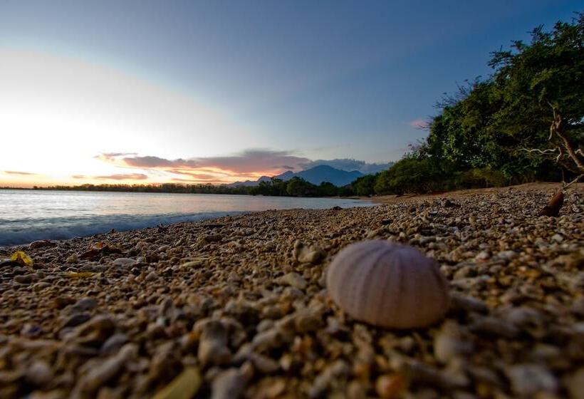 호텔 The Menjangan By Lifestyleretreats