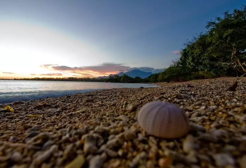 Hôtel The Menjangan By Lifestyleretreats