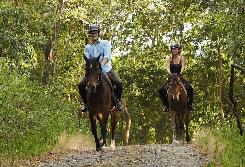 호텔 The Menjangan By Lifestyleretreats