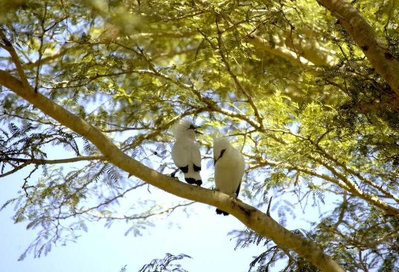 호텔 The Menjangan By Lifestyleretreats